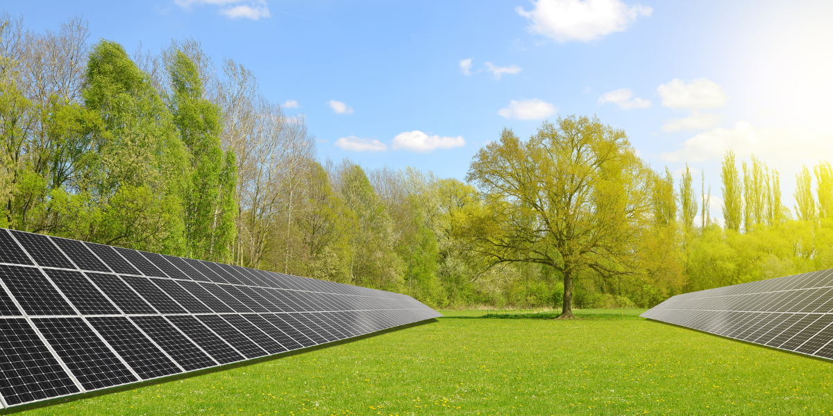 Placas solares para autoconsumo fotovoltaico en Madrid